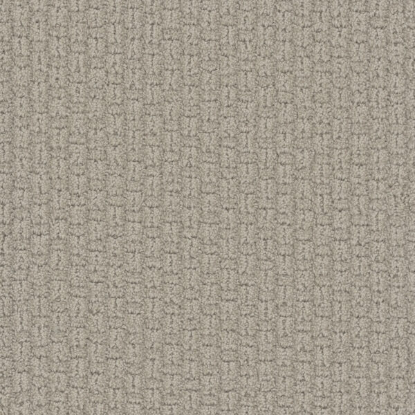 Dreamweaver Carpet Grand Isle Blizzard Blast Carpet 3428_5110