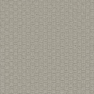 Dreamweaver Carpet Grand Isle Snow Canyon Carpet 3428_5170
