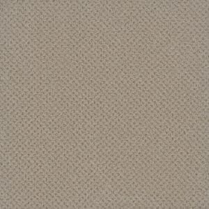 Dreamweaver Carpet Vintage Charm Beach Butters Carpet 3435_2838