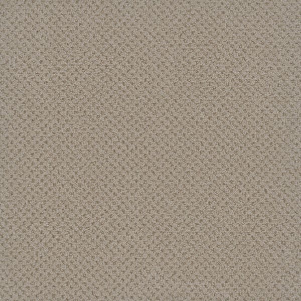 Dreamweaver Carpet Vintage Charm Beach Butters Carpet 3435_2838