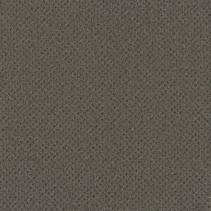 Dreamweaver Carpet Vintage Charm City View Carpet 3435_2842