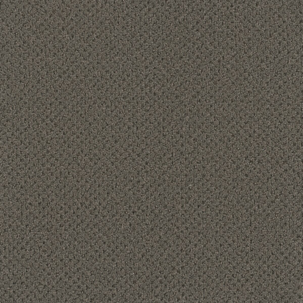 Dreamweaver Carpet Vintage Charm City View Carpet 3435_2842