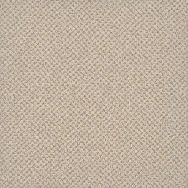 Dreamweaver Carpet Vintage Charm Snow Cream Carpet 3435_2844