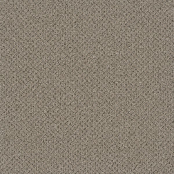 Dreamweaver Carpet Vintage Charm Skipping Carpet 3435_2847
