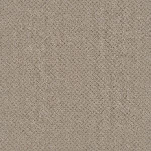 Dreamweaver Carpet Vintage Charm Cosmo Carpet 3435_2849