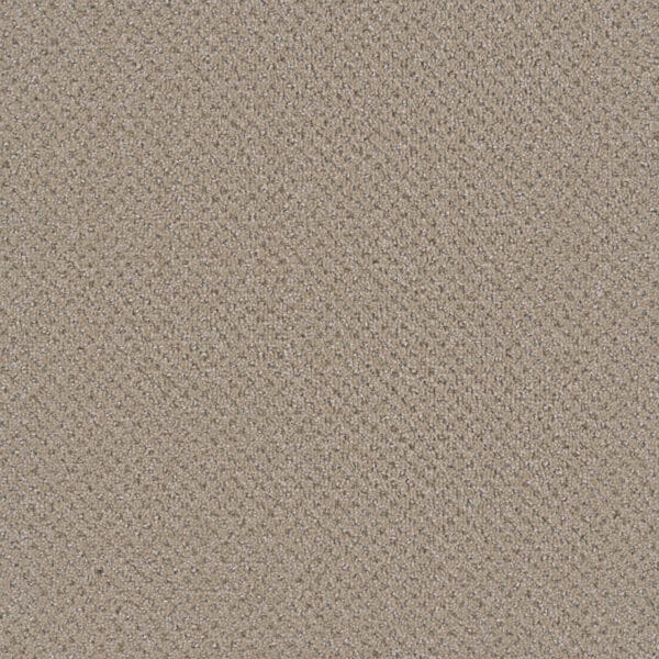 Dreamweaver Carpet Vintage Charm Cosmo Carpet 3435_2849