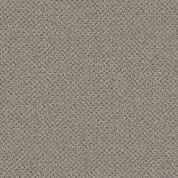Dreamweaver Carpet Vintage Charm Greige Carpet 3435_2850