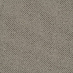 Dreamweaver Carpet Vintage Charm Vintage China Carpet 3435_2851