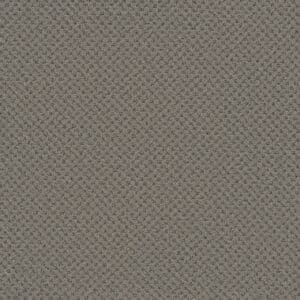 Dreamweaver Carpet Vintage Charm North Star Carpet 3435_2852