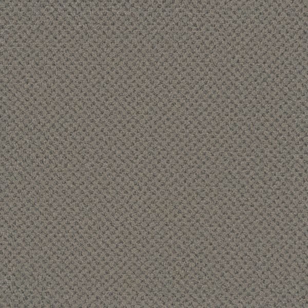 Dreamweaver Carpet Vintage Charm North Star Carpet 3435_2852