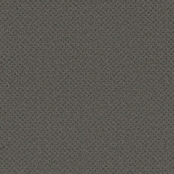 Dreamweaver Carpet Vintage Charm Deep Secret Carpet 3435_2857