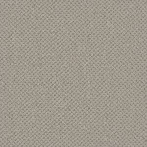 Dreamweaver Carpet Vintage Charm Heirloom Carpet 3435_2861
