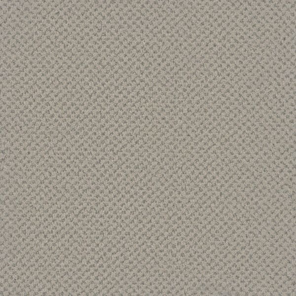 Dreamweaver Carpet Vintage Charm Heirloom Carpet 3435_2861