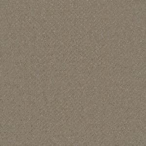 Dreamweaver Carpet Vintage Charm Old Soul Carpet 3435_2870