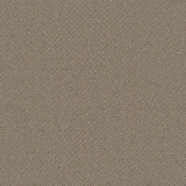 Dreamweaver Carpet Vintage Charm Old Soul Carpet 3435_2870