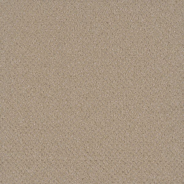 Dreamweaver Carpet Vintage Charm Dulce Carpet 3435_2937