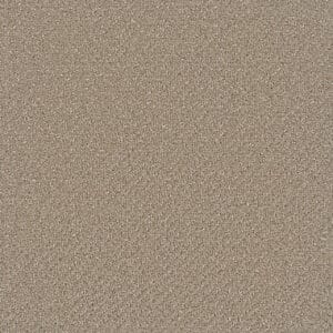 Dreamweaver Carpet Vintage Charm Shortbread Carpet 3435_2946