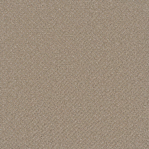 Dreamweaver Carpet Vintage Charm Shortbread Carpet 3435_2946