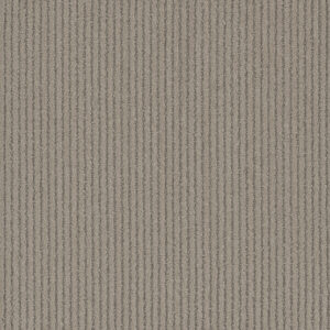 Dreamweaver Carpet Yukon Skipping Stone Carpet 3536_2847