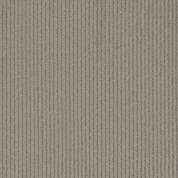 Dreamweaver Carpet Yukon Skipping Stone Carpet 3536_2847
