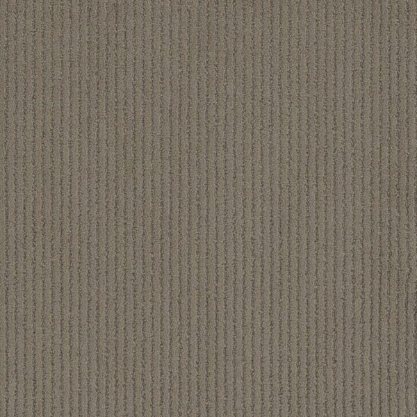 Dreamweaver Carpet Yukon Mink Carpet 3536_4212