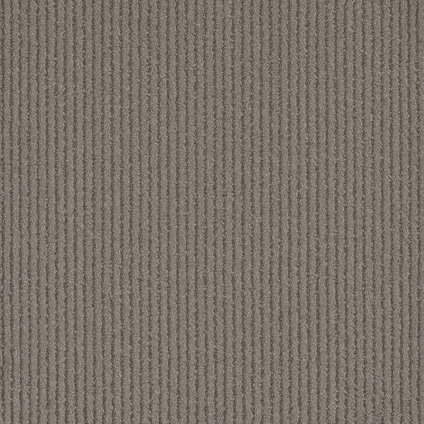 Dreamweaver Carpet Yukon Lodgepole Carpet 3536_5137