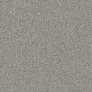 Dreamweaver Carpet Mystique Star Dust Carpet 3575_2070