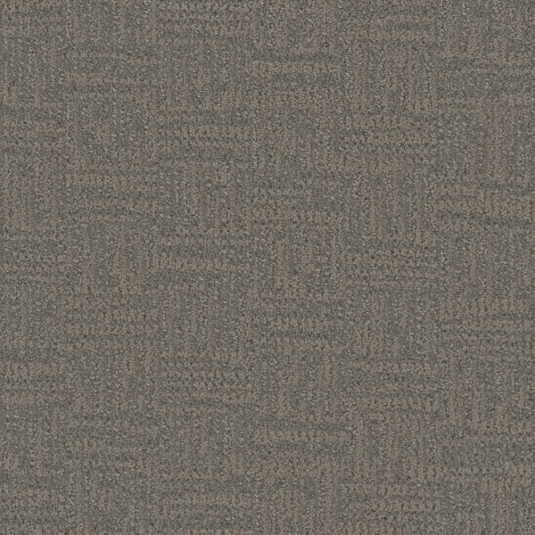 Dreamweaver Carpet Mystique Woodcrest Carpet 3575_2082