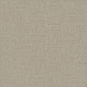 Dreamweaver Carpet Mystique Vanilla Sky Carpet 3575_2084