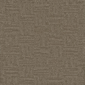 Dreamweaver Carpet Mystique Dusted Bronze Carpet 3575_2243
