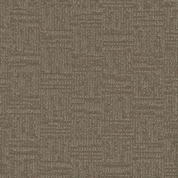 Dreamweaver Carpet Mystique Dusted Bronze Carpet 3575_2243