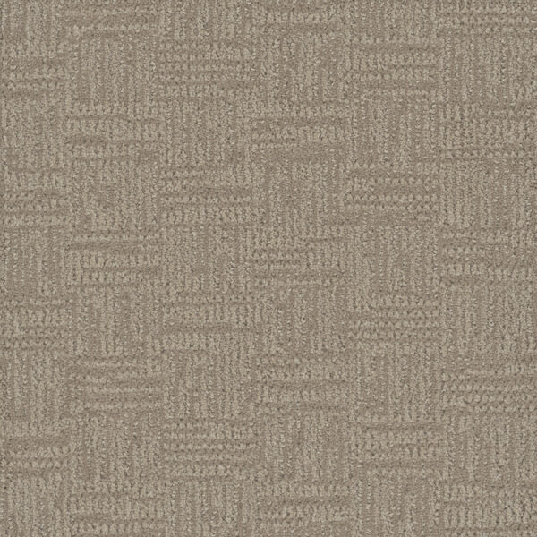Dreamweaver Carpet Mystique Pale Birch Carpet 3575_5040