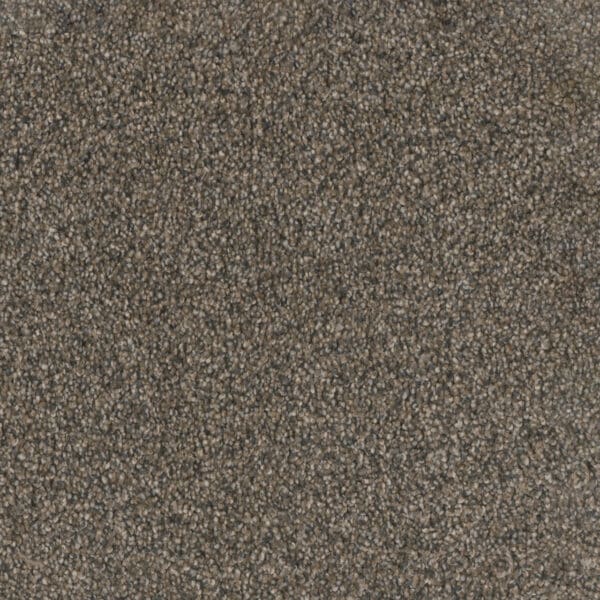 Dreamweaver Carpet Trendsetter II Imperial Sable Carpet 3655_134