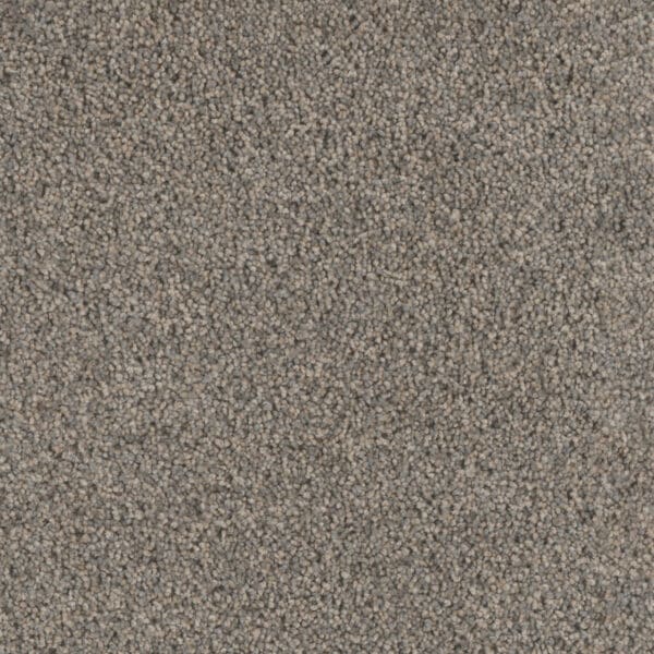 Dreamweaver Carpet Trendsetter II Cloudy Sky Carpet 3655_174