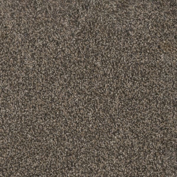 Dreamweaver Carpet Trendsetter II Russett Carpet 3655_217