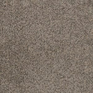 Dreamweaver Carpet Trendsetter II Twig Carpet 3655_247