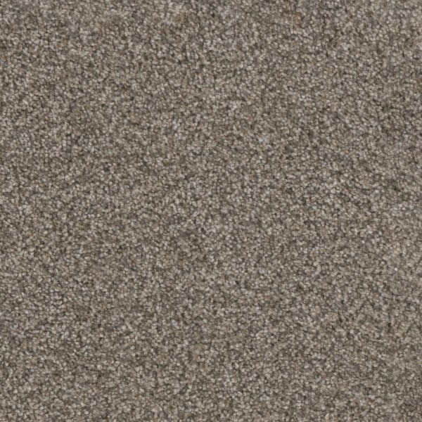 Dreamweaver Carpet Trendsetter II Sageview Carpet 3655_327