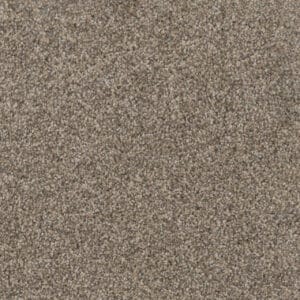 Dreamweaver Carpet Trendsetter I Oxford Stone Carpet 3640_359