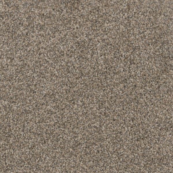 Dreamweaver Carpet Trendsetter I Oxford Stone Carpet 3640_359