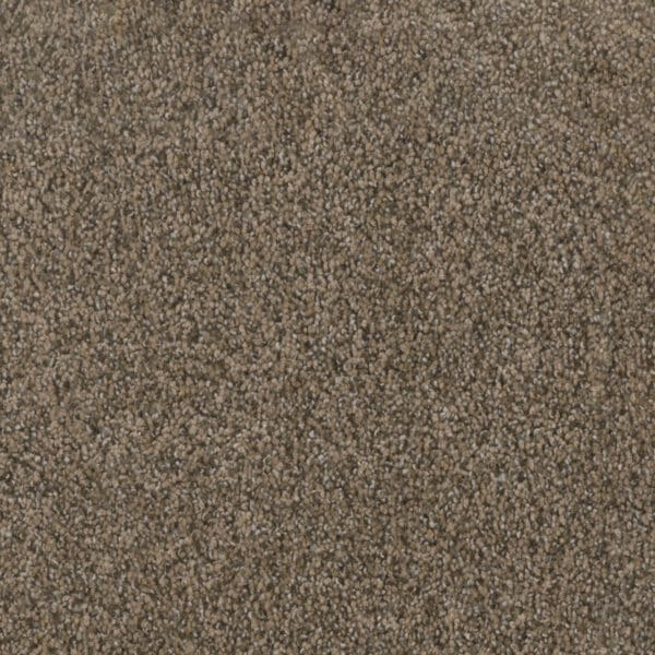 Dreamweaver Carpet Trendsetter II Smokey Taupe Carpet 3655_381