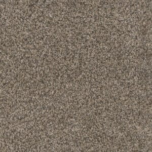 Dreamweaver Carpet Trendsetter II Trail Creek Carpet 3655_398