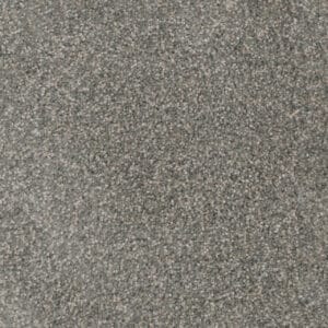 Dreamweaver Carpet Trendsetter II Willow Tree Carpet 3655_422