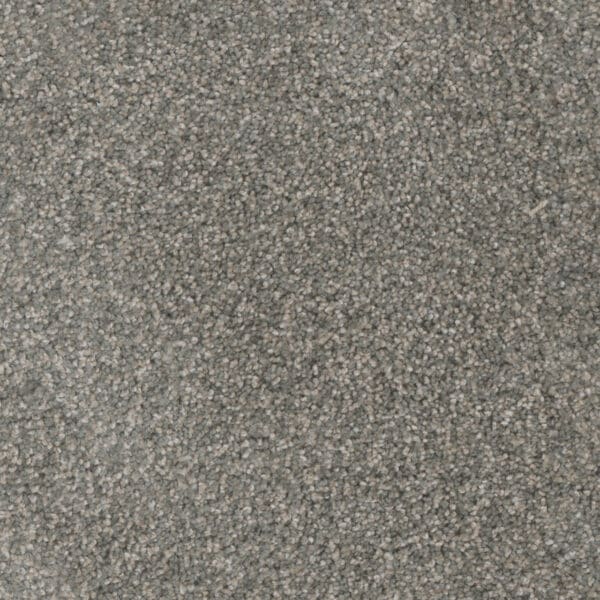 Dreamweaver Carpet Trendsetter II Willow Tree Carpet 3655_422