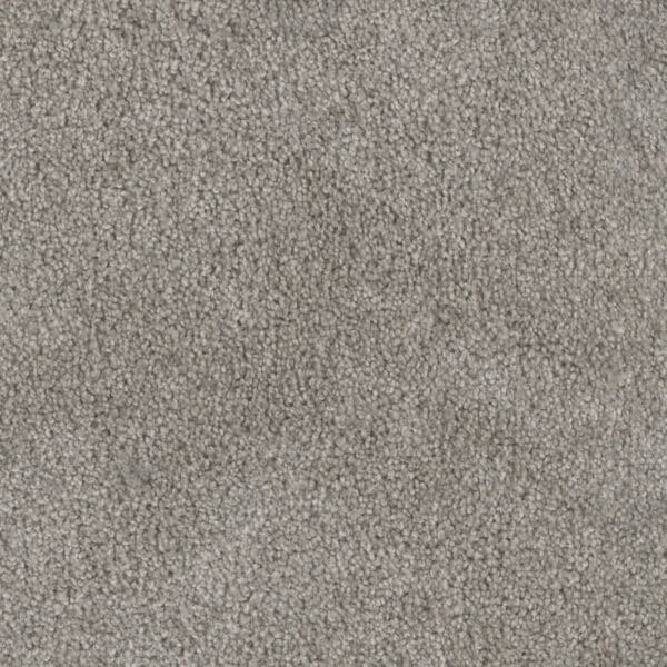 Dreamweaver Carpet Trendsetter II Dove Carpet 3655_800