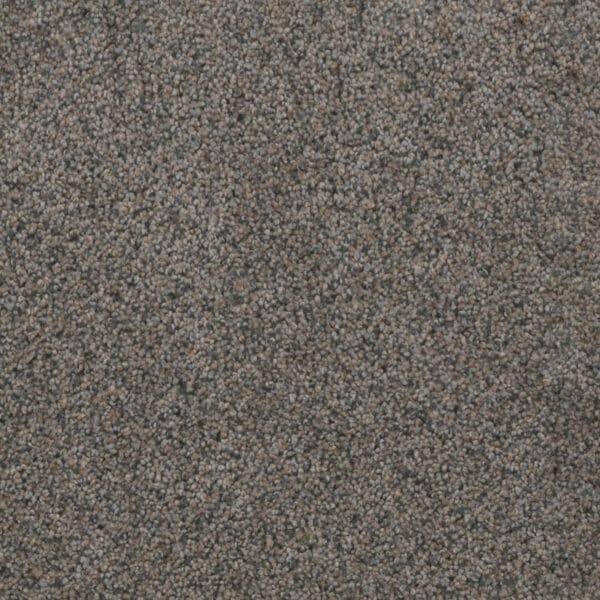Dreamweaver Carpet Trendsetter II Ash Grove Carpet 3655_899