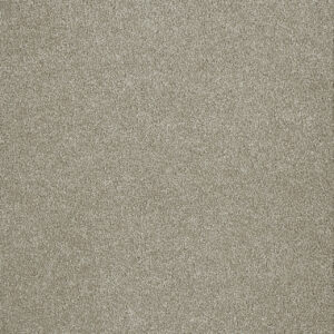 Dreamweaver Carpet Malibu III Cottonwood Carpet 3760_169