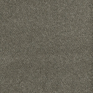 Dreamweaver Carpet Malibu III Brentwood Carpet 3760_258