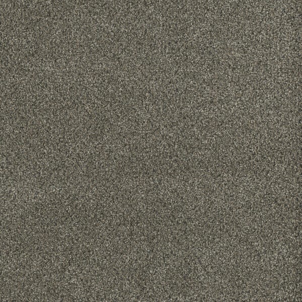 Dreamweaver Carpet Malibu III Brentwood Carpet 3760_258
