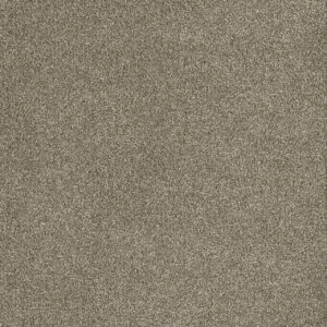Dreamweaver Carpet Malibu III Garden Rock Carpet 3760_294
