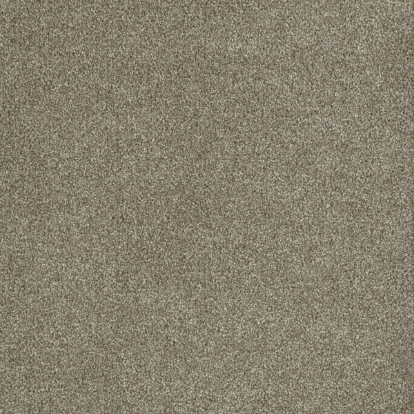 Dreamweaver Carpet Malibu III Garden Rock Carpet 3760_294